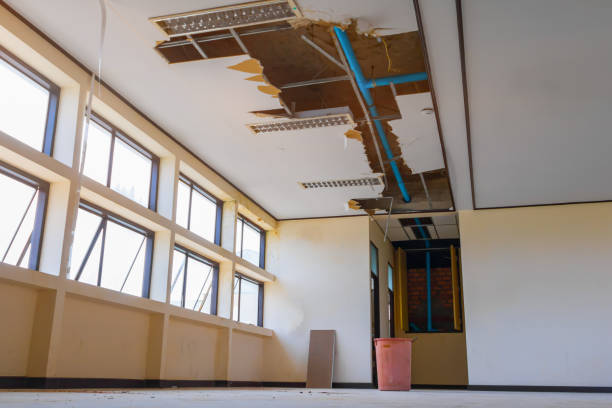 Best Residential water damage restoration  in Suamico, WI