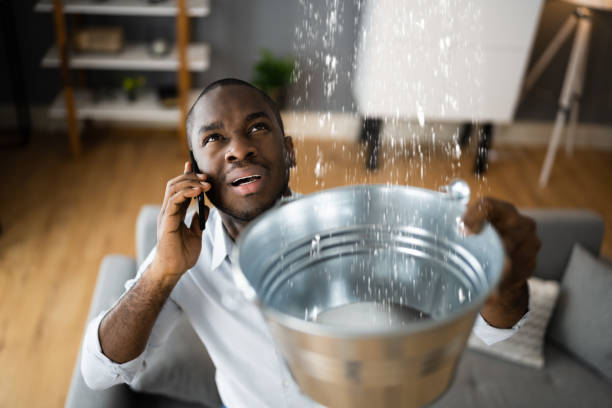 Best Flooded house restoration  in Suamico, WI