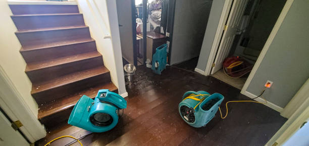 Best Basement water damage restoration  in Suamico, WI