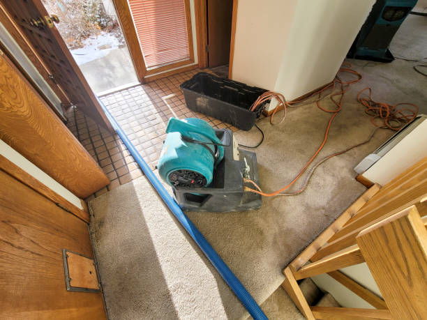 Best Professional water damage repair  in Suamico, WI
