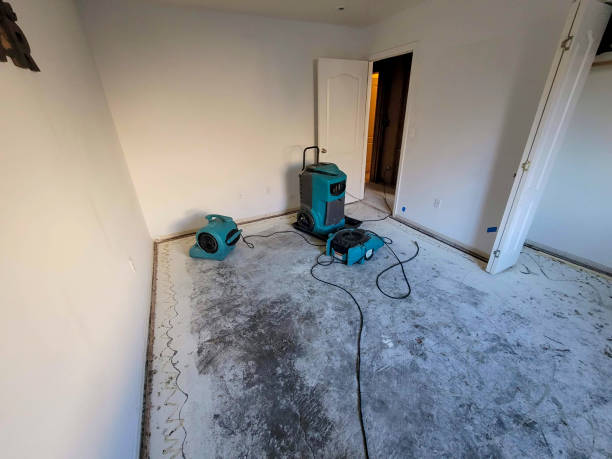 Best Emergency water damage restoration  in Suamico, WI