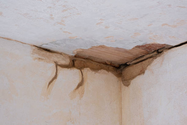 Best Local water damage restoration  in Suamico, WI