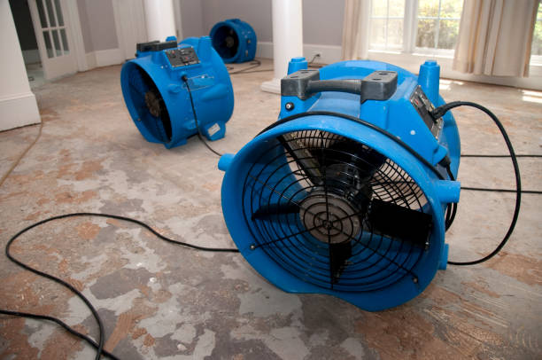 Best Mold removal after water damage  in Suamico, WI