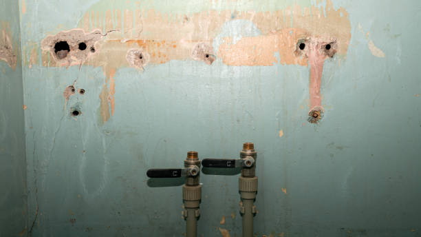 Best 24-hour water damage restoration  in Suamico, WI