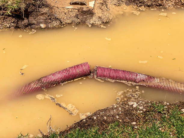 Best 24/7 water damage repair  in Suamico, WI